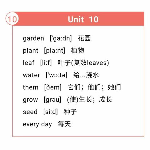 四年级下册十课