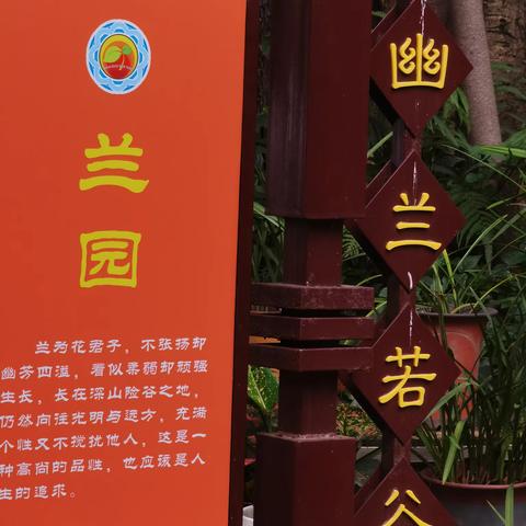 教师专业发展“南”字诀！