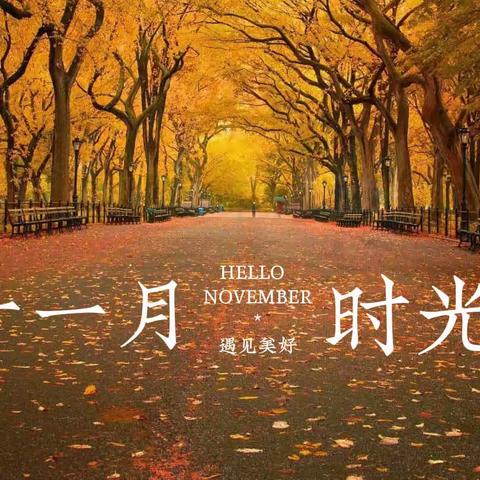 桃溪苑11月份服务报告