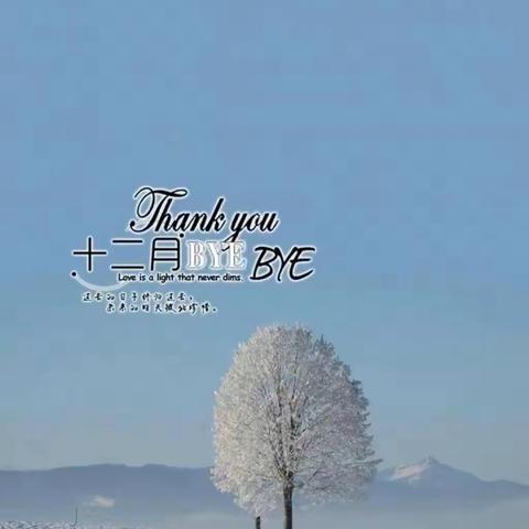桃溪苑12月份服务报告