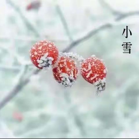 知节气，小雪到