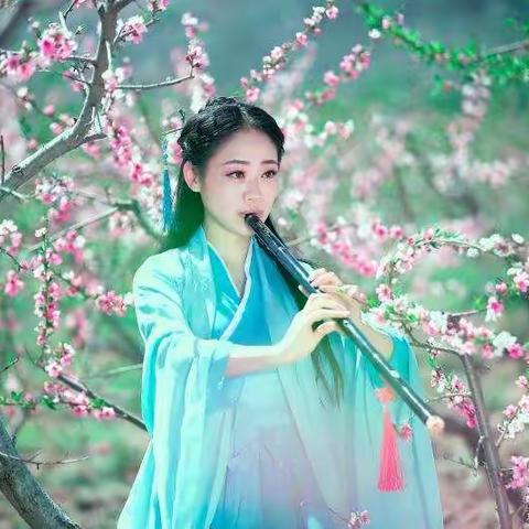 一场雨后桃花的“艳遇”