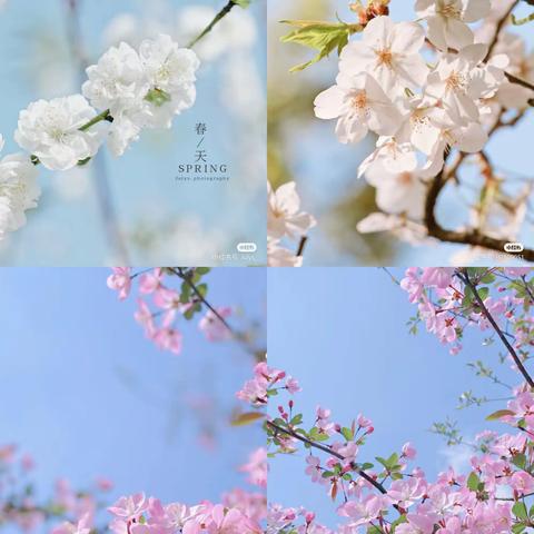 业主之家2021年4月月度服务报告