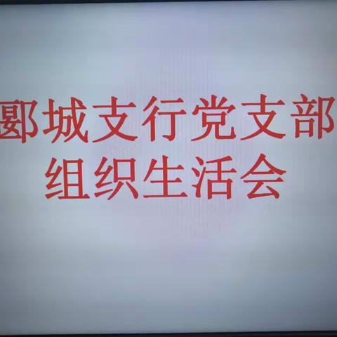 郾城支行党支部召开 2020年度基层党组织组织生活会