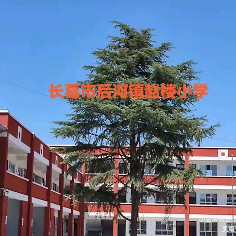 未雨绸缪 防患未然 ——后河镇赵楼小学防震抗灾疏散演练