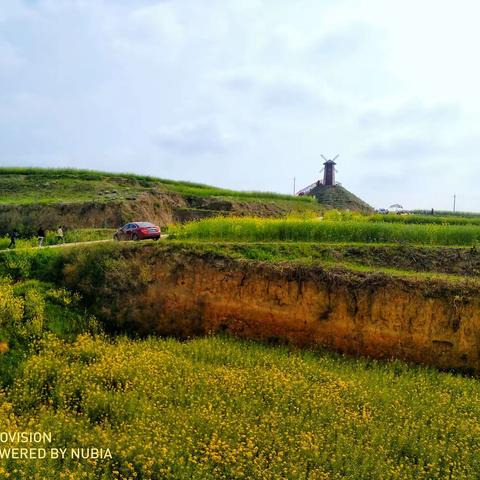 武功古城油菜花景区