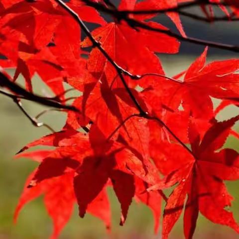 【磨砺中前行 青赛中成长】