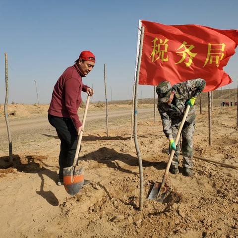 红寺堡区税务局：春日晴方好 植绿正当时