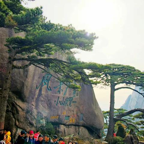 【烟雨江南•安徽】大美黄山