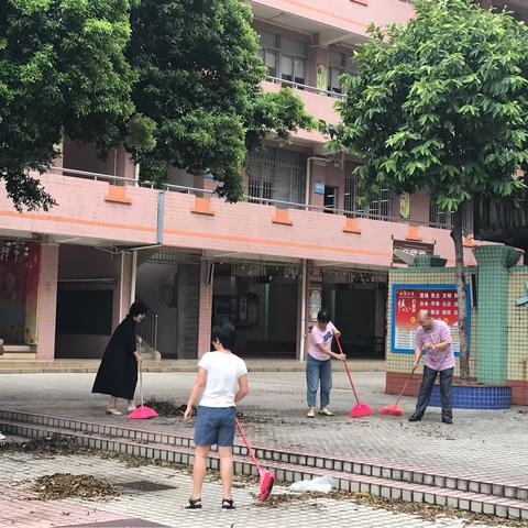 【石井教育】广州市白云区龙湖小学在台风“山竹”后全体教师清洁校园，做好复课准备