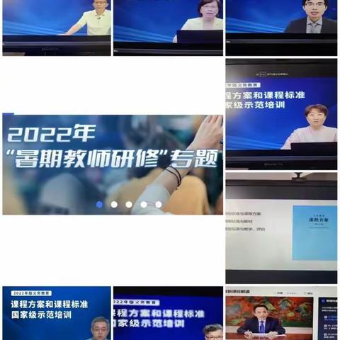 学习蓄能，我们一直在路上 ——桥南小学语文组“2022年版义务教育课程方案和课程标准”国家级通识培训