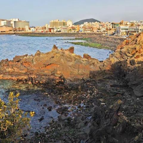 济州火山岛：韩国唯一的世界自然遗产（韩国邮轮游之二）