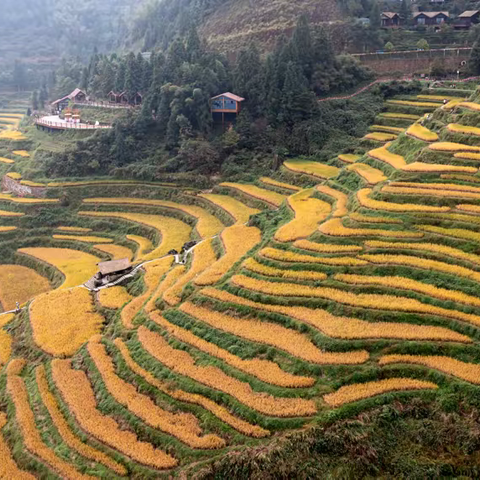 诸暨市夕阳红摄影协会