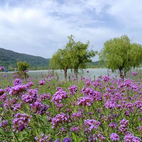 绿水青山南北湖