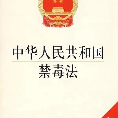 【望海学校活动】《中华人民共和国禁毒法》纪念日——鲅鱼圈区望海学校红色基因传承之禁毒宣传