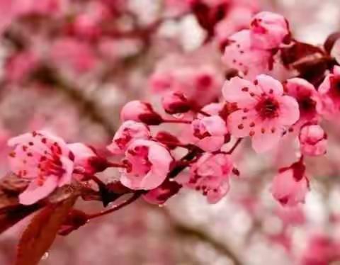 三月再见，四月你好