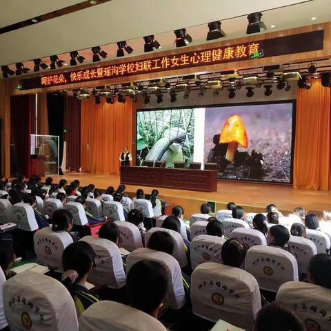 呵护花朵，快乐成长暨瑶沟学校妇联工作女生心理健康教育