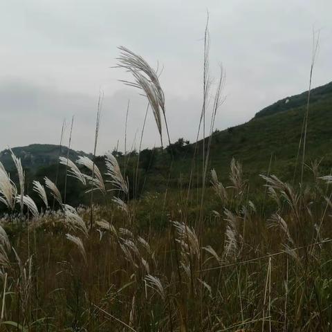 魂岭～朝天背～三把刀～徐家水库～核伙沟（穿越）