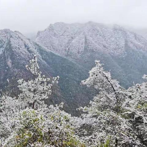 年末前池观雪