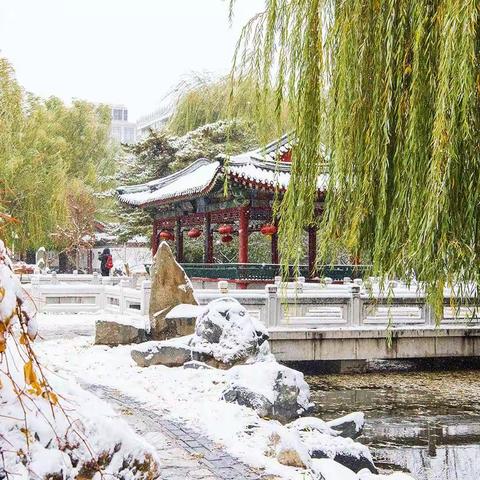 立冬日风雪中游北京大观园