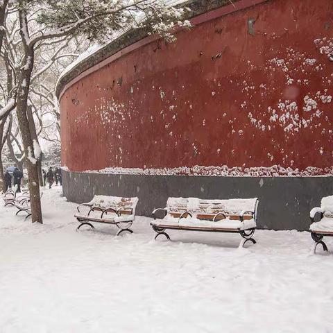 雪中游北海