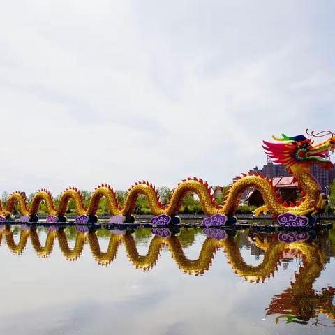 内蒙古自治区庆祝成立七十周年大型灯展