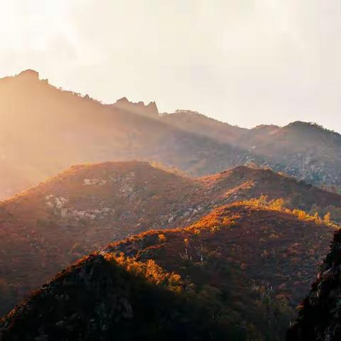 呼和浩特大青山的秋景