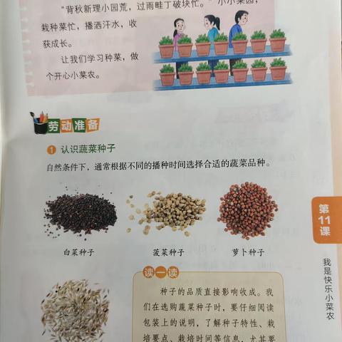 学做泡酸菜，美味乐开怀！