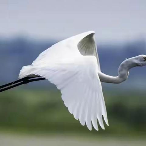 学霸妈妈的美篇