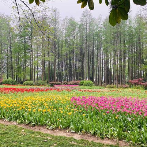 小班组中山植物园攻略