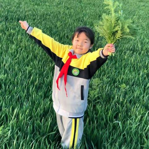 笨鸟先飞，加油！