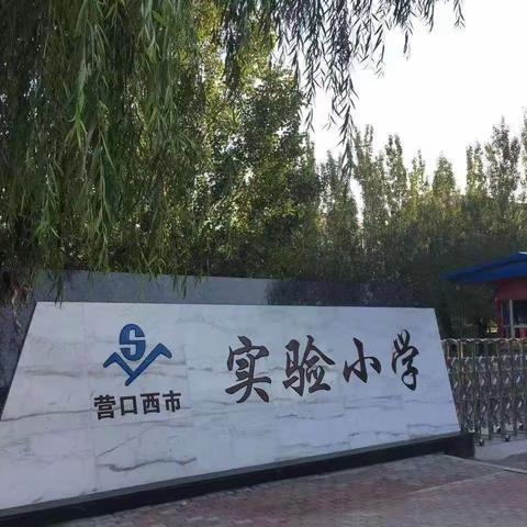 “教师礼仪讲规范    云端守望润童心”                     ——区实小“线上教学礼仪”主题培训活动