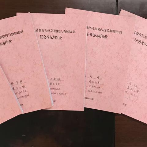 体艺培训强教学     研修共进促发展——2020年暑期大荔县荔东小学体音美教师培训简报