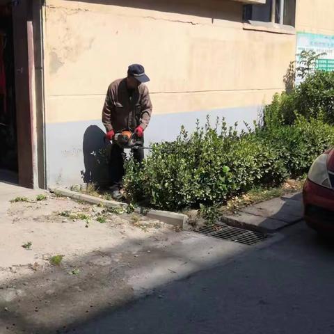 通济街道督导＋落实  推进人居环境整治提升