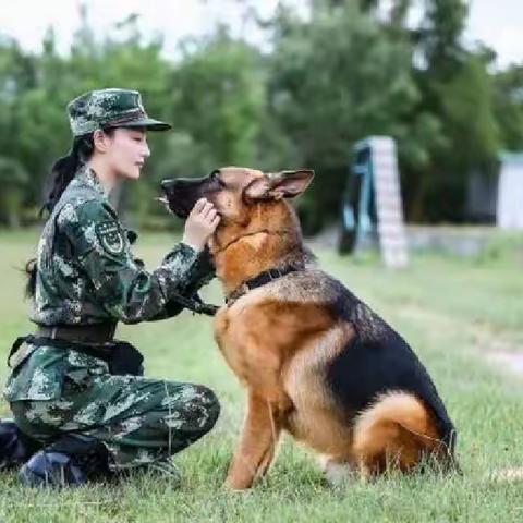 五一军事研学营 ‖相约警犬做勇敢少年