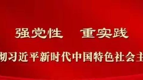 加强党建督导检查  夯实基层党建基础