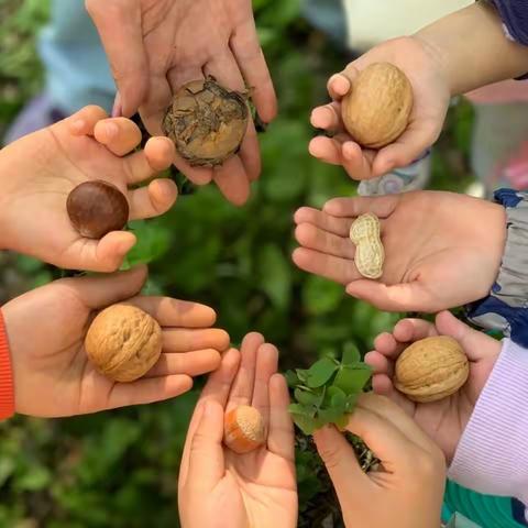大自然生态探索课程——秋游活动，这是我们的天地......
