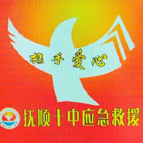 弘扬人道主义 树立公益意识——抚顺十中红十字会活动纪实