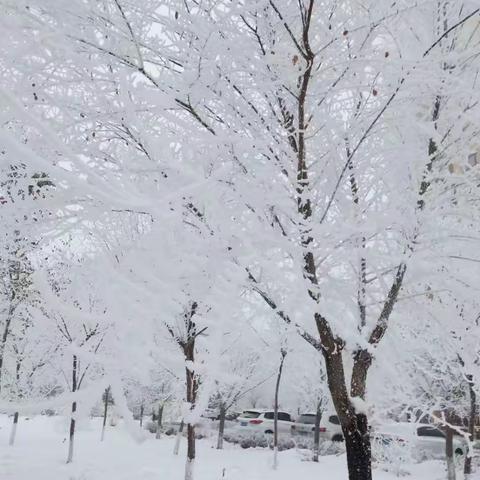 今日大雪