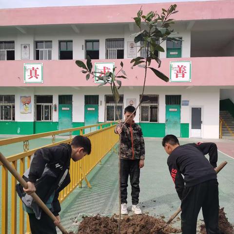 阳春三月，植树好时节———邓州市文渠镇岳洼小学举办植树活动