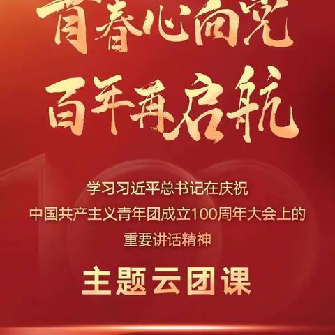 【迎盛会、铸忠诚、强担当、创业绩】南开一保团支部“青春心向党 百年再启航”主题云团课活动