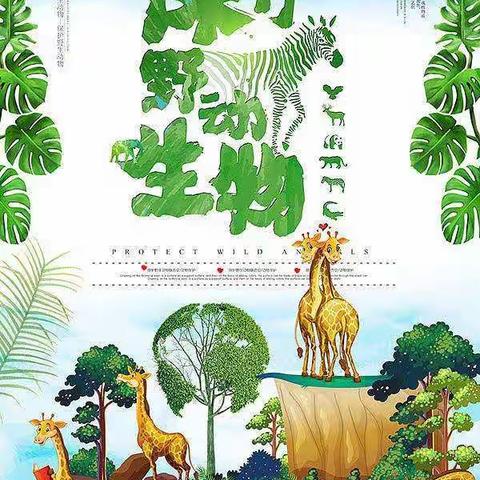 保护野生动物      从我做起﻿﻿（草下小学保护野生动物宣传月活动纪实）