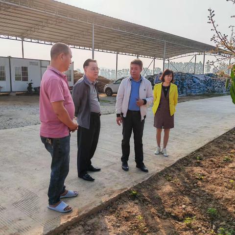 海垦广坝农场公司纪委开展农业项目专项监督检查