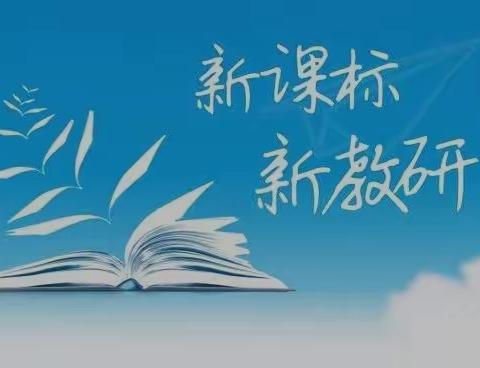 “新课标、新理念、新课堂”              专题研讨活动