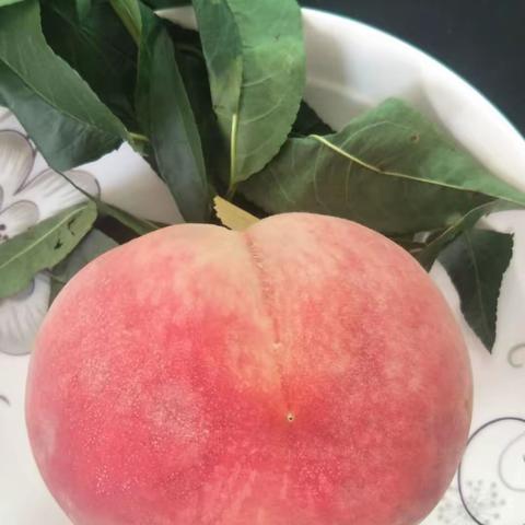 🍑富硒平谷大桃🍑