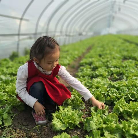 花样宅家，成长不停歇（四）     ———大班组