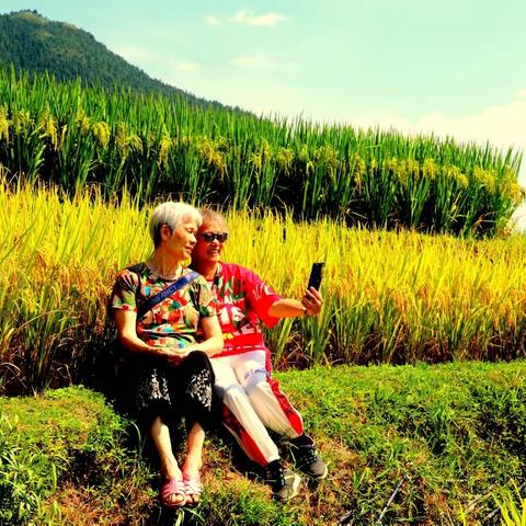 贵州榕江市：加榜梯田