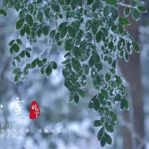 小雪——小雪到 冬始俏