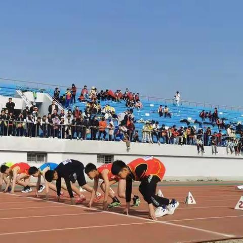 汴京路小学田径队