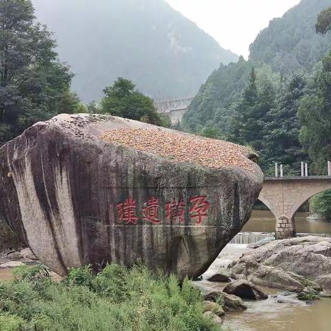 2021年，宝鸡陈仓检察报纸稿刊登汇总